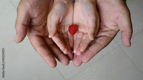 A father holding his daughter hands which is holding roseberry photo