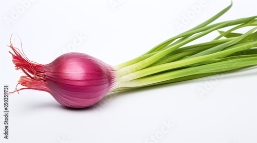 red onion