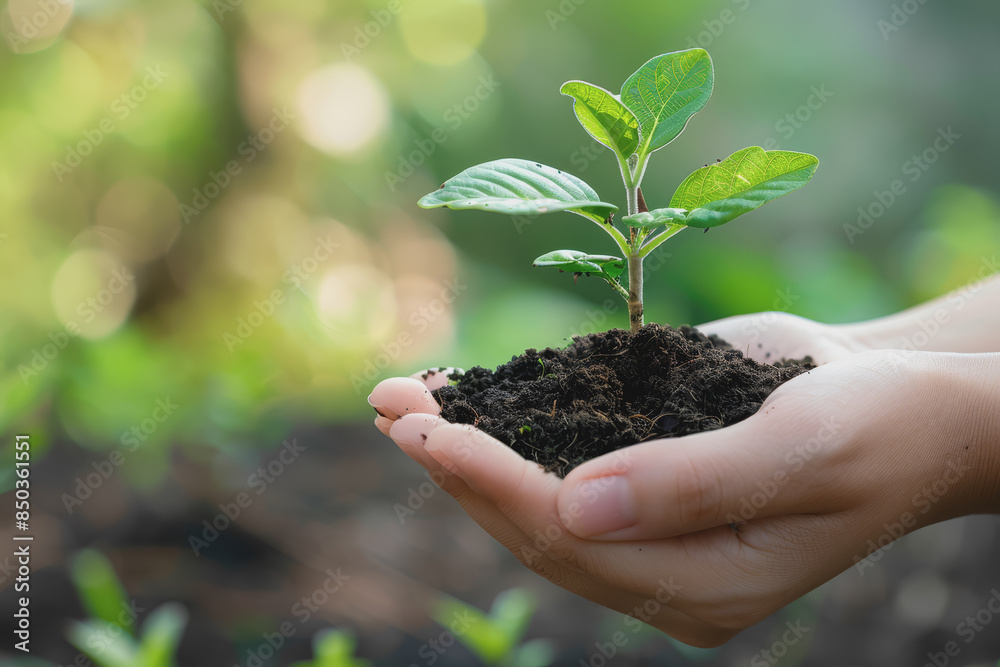 Environmental Social and Corporate Governance Earth Day loving nature top view. Green power concept. Environmental Social and Corporate Governance Earth Day loving nature top view. Green power concept.