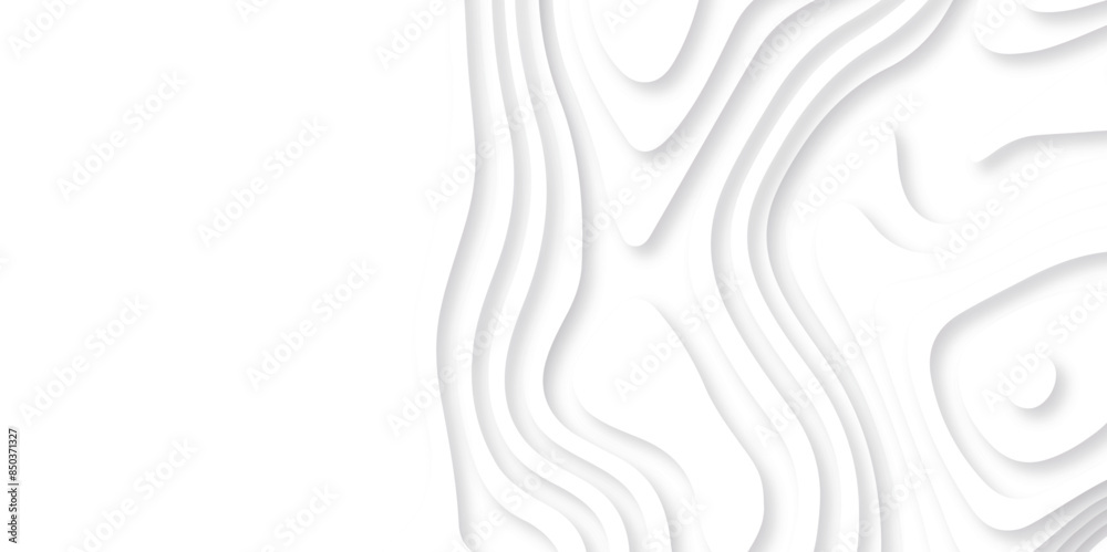 Abstract white paper cut background with lines. Background of the topographic map. White wave paper curved reliefs abstract background. Realistic papercut decoration textured with wavy layers. Abstract white paper cut background with lines. Background of the topographic map. White wave paper curved reliefs abstract background. Realistic papercut decoration textured with wavy layers.