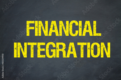 Financial Integration 