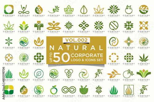 creative leaf logo icon set. Abstract design eco logo, green leaf seedling, growing plant.