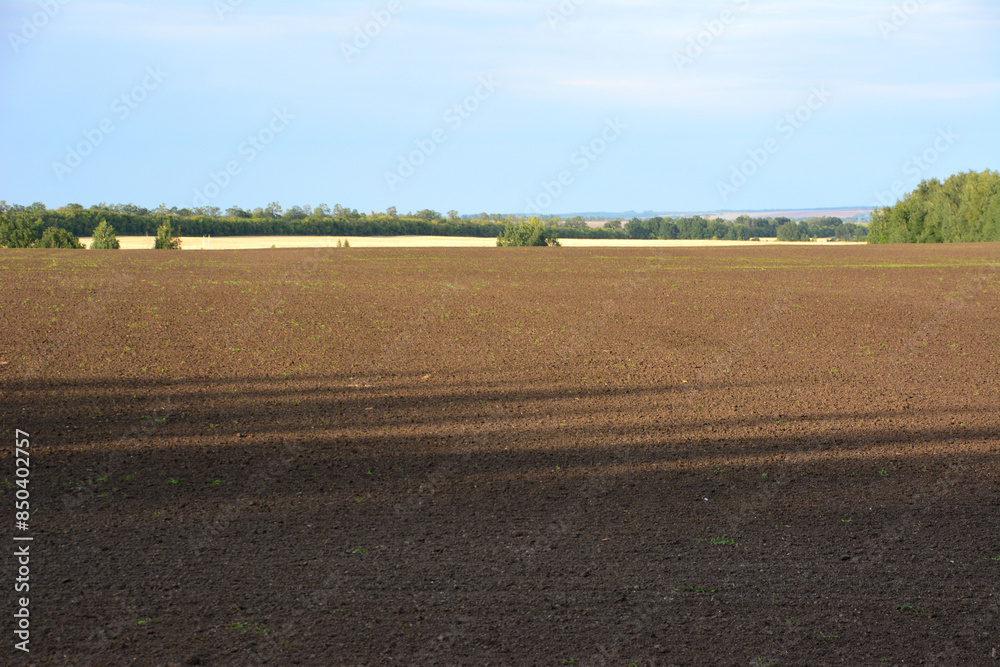 brown agricultural field with horizon line copy space brown agricultural field with horizon line copy space