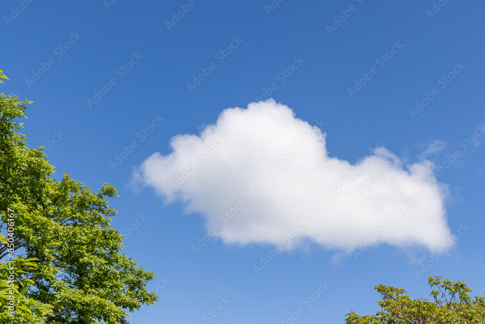 Obraz premium sky and clouds