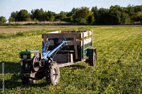 Agricultural mini-tractor with a trailer in a field on a sunny summer day. photo