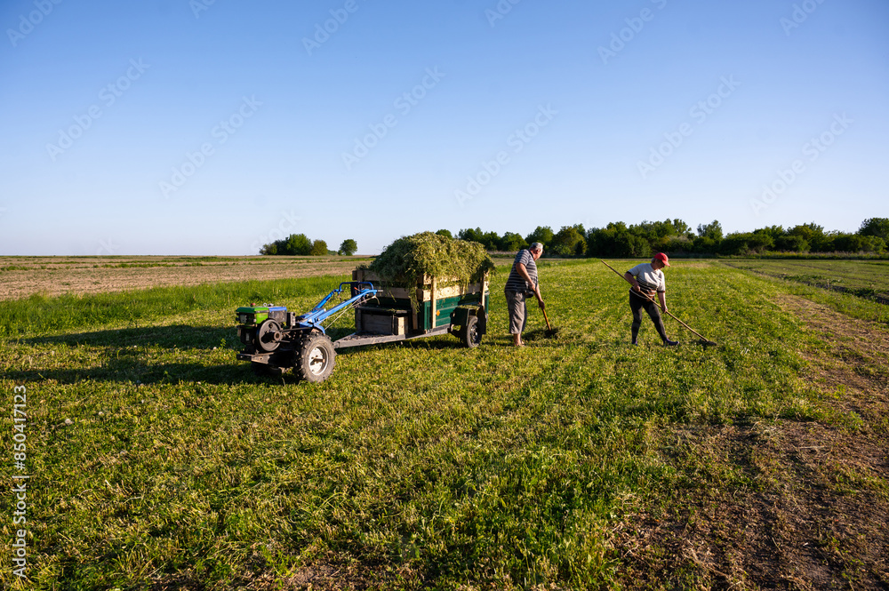 Obraz premium farmers collect hay from the field and load it into a mini tractor