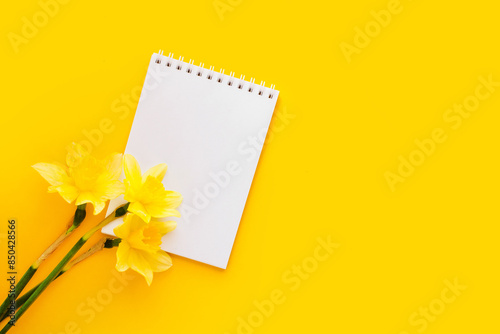 Empty notepad with fresh bouquet of spring narcissus on pastel light yellow background. Blank notebook with daffodil flower's. Easter concept. Place for text, copy space, flat lay, top view