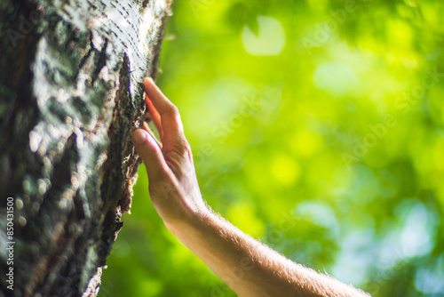 A man's hand touch the tree trunk close-up. Bark wood.Caring for the environment. The ecology concept of saving the world and love nature by human