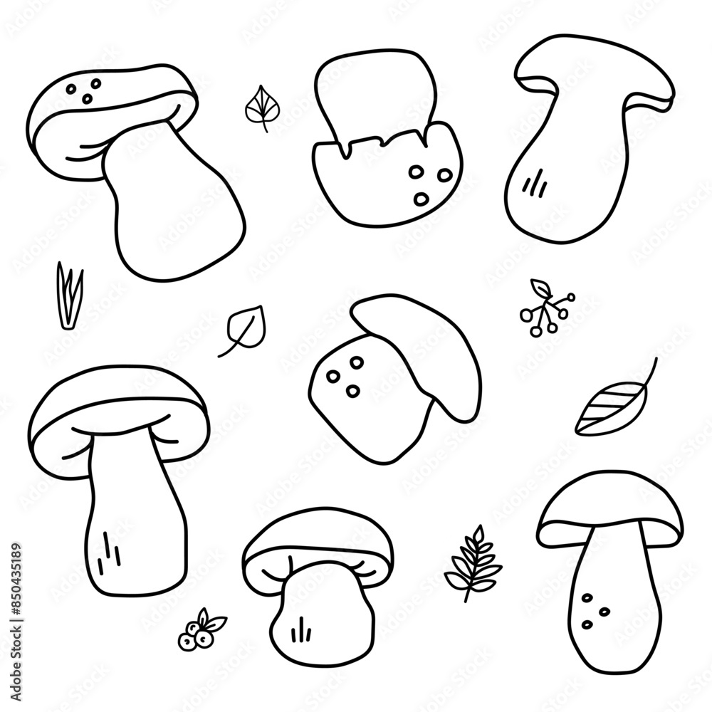 Porcini set in doodle style. Vector isolated on white background Porcini set in doodle style. Vector isolated on white background