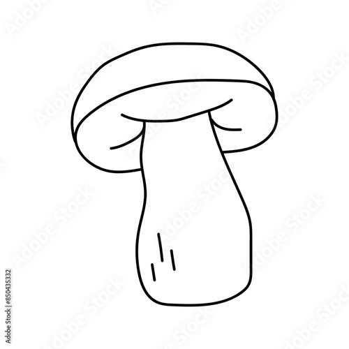 Porcini in doodle style. Vector isolated on white background