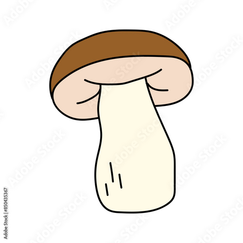 Porcini in doodle style. Vector isolated on white background