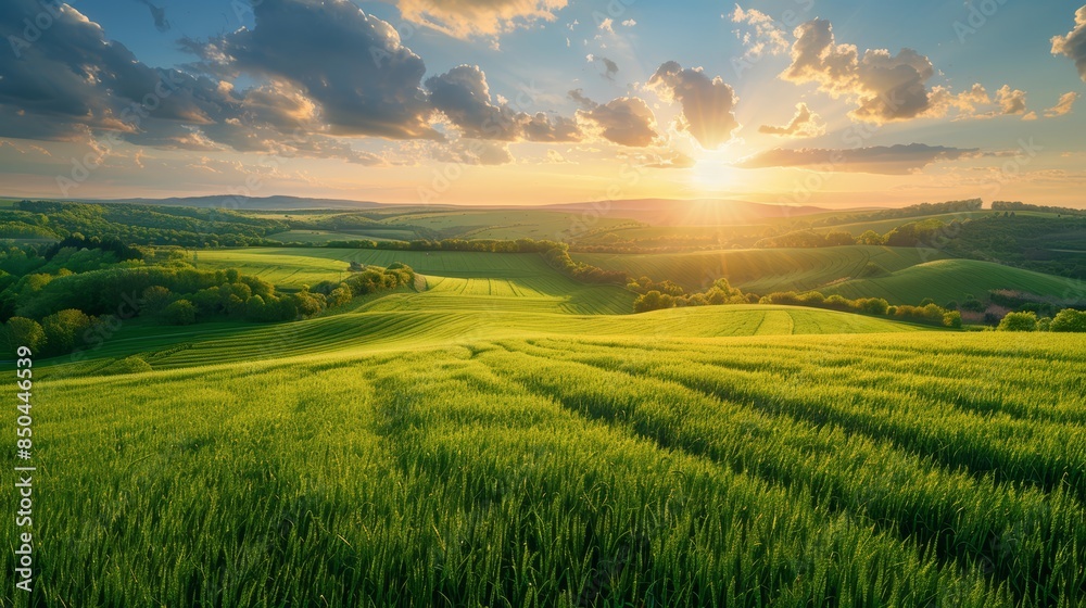 Obraz premium Sunset over fields, green pastures, golden light, high resolution, tranquil and serene, soft shadows, peaceful countryside, wide-angle view
