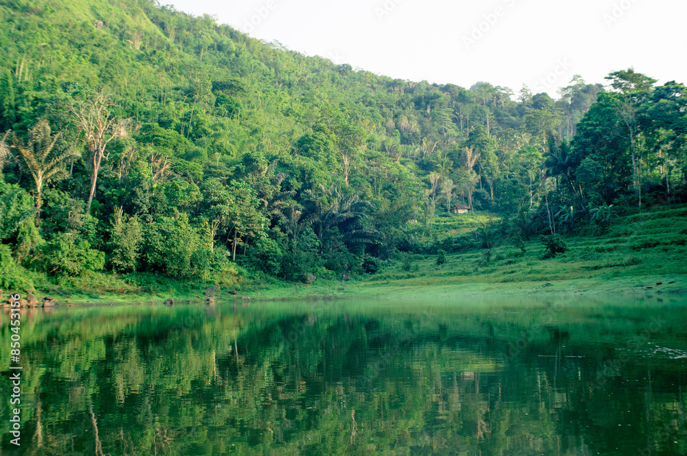 green lake with beautiful trees and grass green lake with beautiful trees and grass