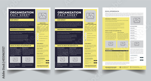Nonprofit Organization Fact Sheet layout design template with 3 style design concept	
