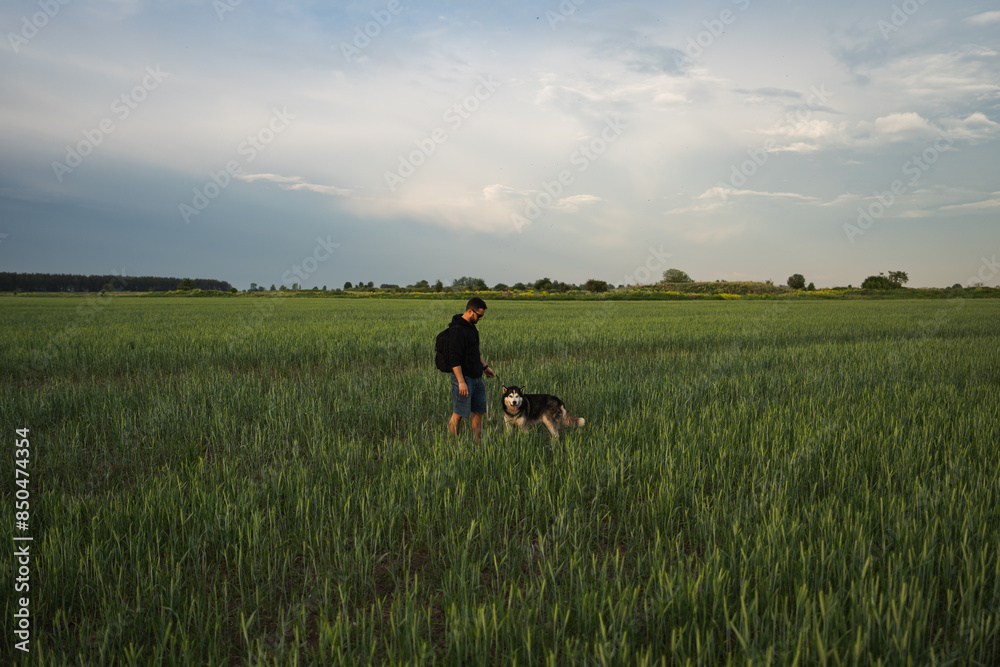 A man with a husky dog in a field on a summer evening, photo taken with a wide-angle lens. A man with a husky dog in a field on a summer evening, photo taken with a wide-angle lens.