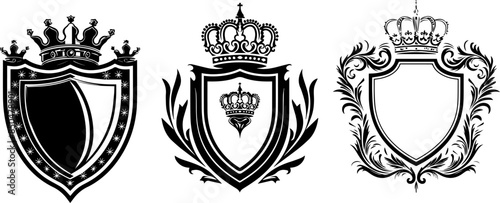 set black and white shield with crown