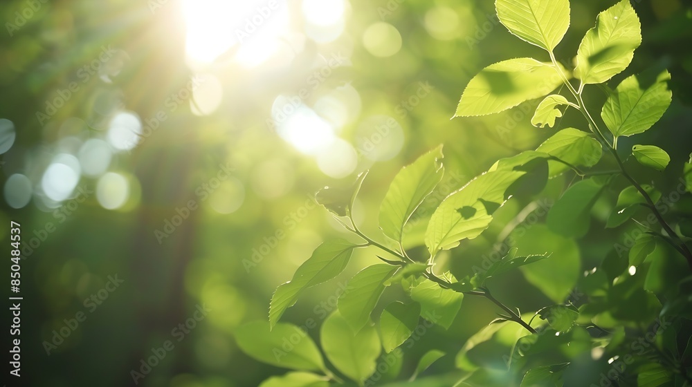 Beautiful sunlight in the forest : Generative AI Beautiful sunlight in the forest : Generative AI