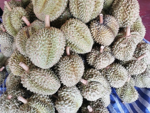 Durian, the king fruit of Thailand The shell has sharp thorns. The meat inside is soft and smells bad.