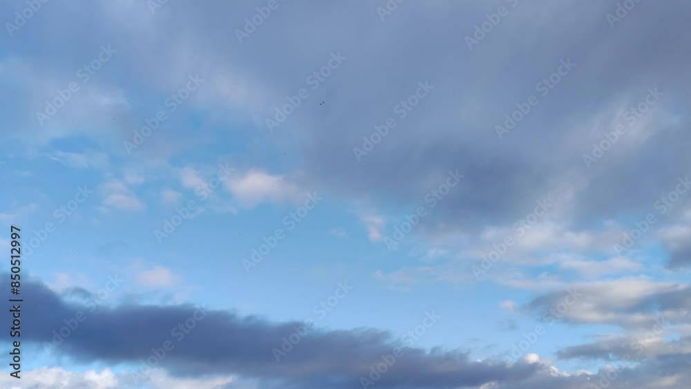 Curious cloud that looks like stratocumulus full of cloud balls at dawn Curious cloud that looks like stratocumulus full of cloud balls at dawn
