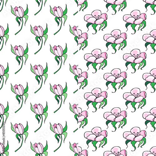 Ripe Pink Raspberries and Pink Flowers. Set of seamless pattern. Vector illustration