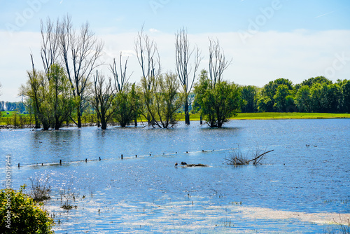 Nature on the Bislicher Insel near Xanten in the Wesel district. Landscape by the lake in the nature reserve. Floodplain landscape in Germany.
 photo