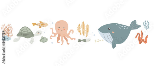 Childrens sea animal background with shell. Nautical elements border. Cute fish or ocean inhabitant with seaweed. Sea wild life, marine animals with plants for cover design, cloth