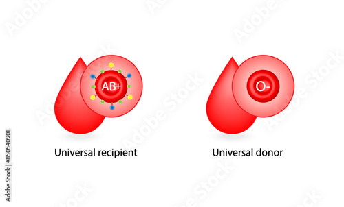 AB positive blood type, universal recipient, O negative, universal donor. Vector illustration.