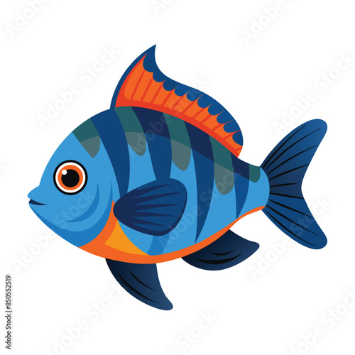 illustration of a bluegill fish on white