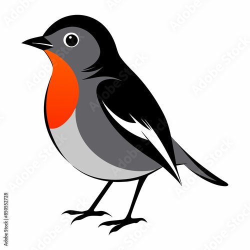 duel bird vector illustration