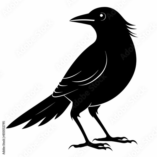 crow silhouette vector illustration