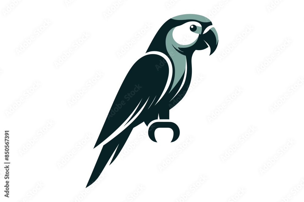 bird isolated on white background silhouette vector illustration, perfect for logo design, art projects, and graphic design. Diverse positions, flying bird isolated on white background silhouette vector illustration, perfect for logo design, art projects, and graphic design. Diverse positions, flying