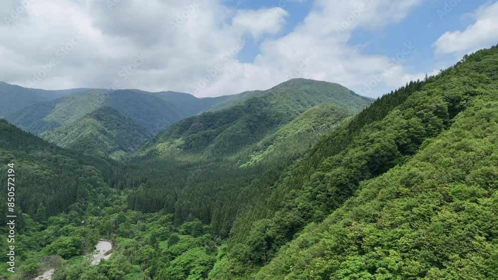 広大な森林と山 空撮 ドローン撮影 広大な森林と山 空撮 ドローン撮影