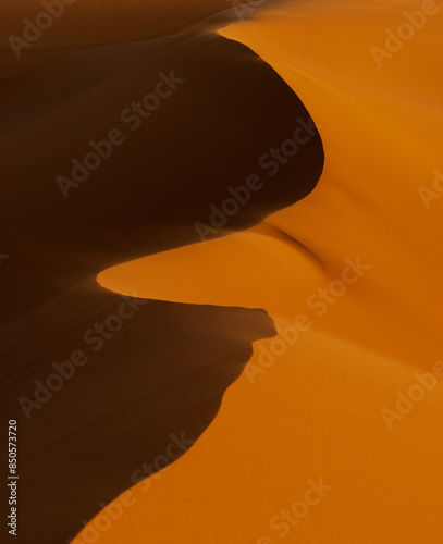 vertical view of sand dunes with gentle curves and interplay of light and shadow