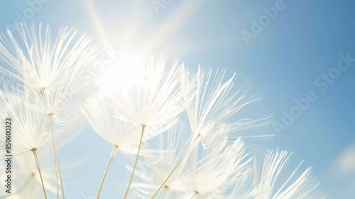 Dandelion seed silhouette against vibrant blue sky with soft bokeh  focus on wispy details