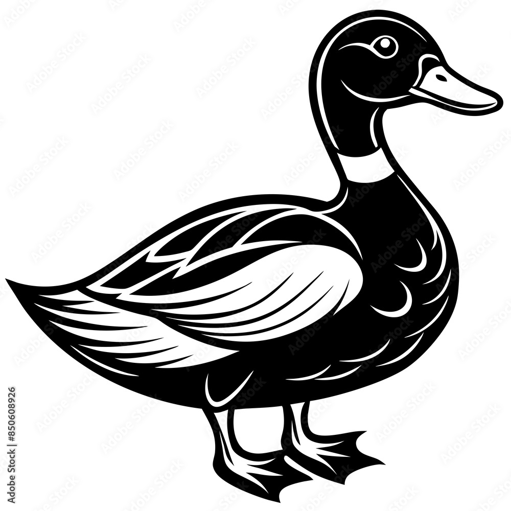 duck isolated silhouette vector illustration duck isolated silhouette vector illustration