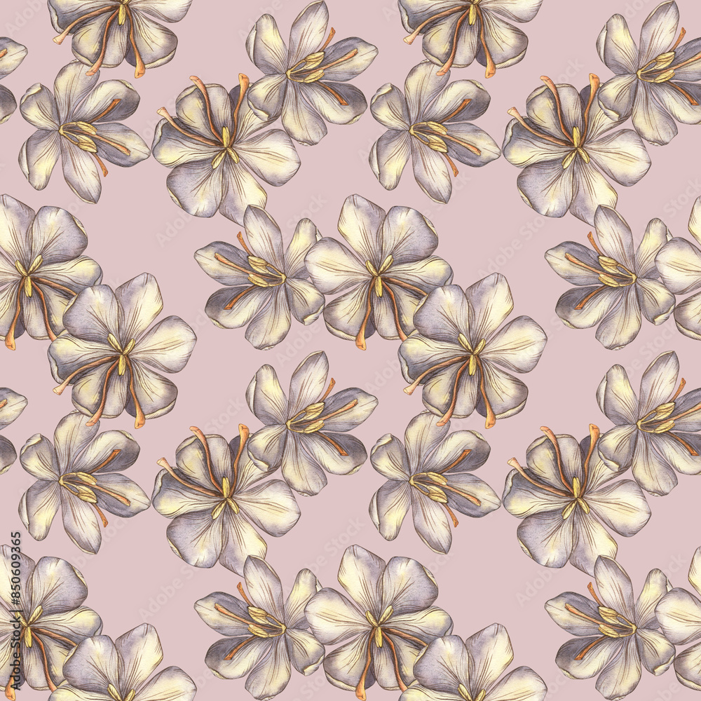 Seamless pattern with saffron flowers. Watercolor crocus flowers. A spring flower painted in watercolor on a white background. Food, spices, seasonings for dishes. Template for invitations, postcards Seamless pattern with saffron flowers. Watercolor crocus flowers. A spring flower painted in watercolor on a white background. Food, spices, seasonings for dishes. Template for invitations, postcards