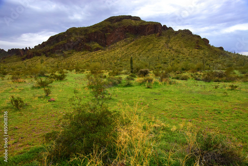 Sonora Desert Arizona Picacho Peak State Park photo