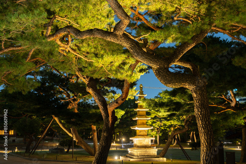 Obraz na płótnie Night of Changgyeonggung Palace, traditional garden in Seoul, Korea w salonie