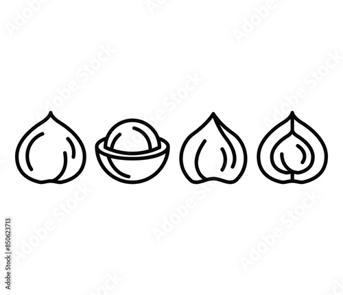 macadamia fruit slice icons symbol vector design simple line illustration black white colors isolated