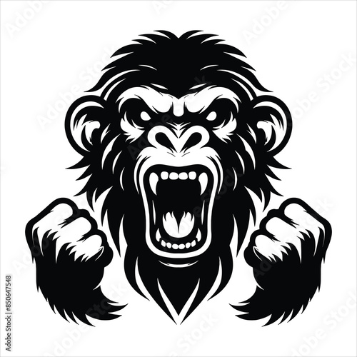 Concept illustration angry gorilla. Face of gorilla isolated on white background.