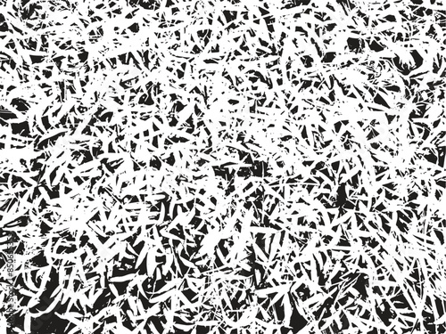 Grunge grass texture background, abstract vector illustration, black and white color