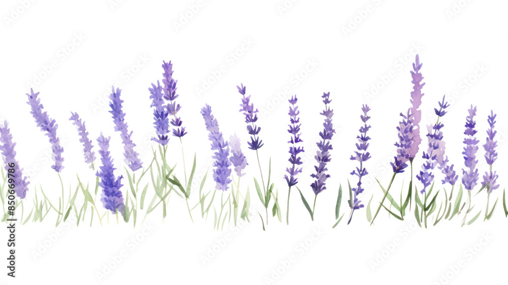 Naklejka premium PNG Lavender watercolor background