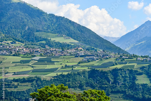 Dorf Tirol, Kirche, Pfarrkirche, Vinschgau, Südtirol, Waalweg, Wanderweg, Weinberge, Weinpergola, Obstbäume, Wanderwege, Frühling, Sommer, Italien photo