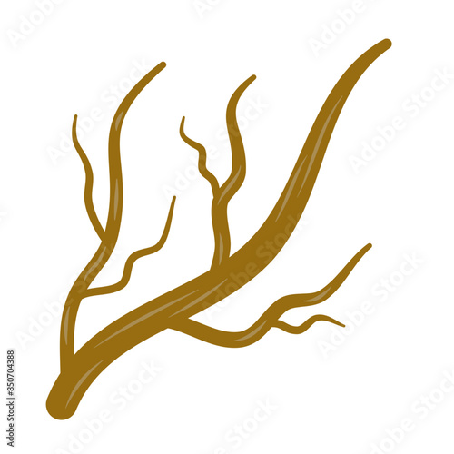 Brown dry tree branches vector photo