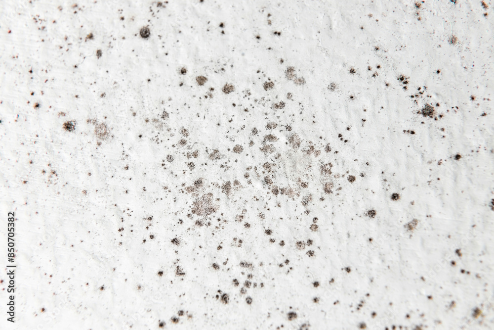 Mold on bathroom ceiling - moist indoor environment - Denmark Mold on bathroom ceiling - moist indoor environment - Denmark