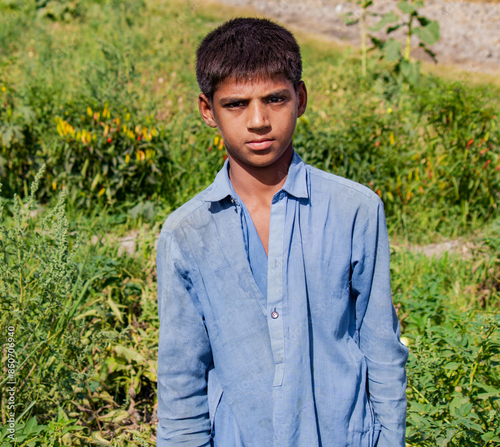 14-year-old boy working on a tomato farm, standing in the field. 14-year-old boy working on a tomato farm, standing in the field.