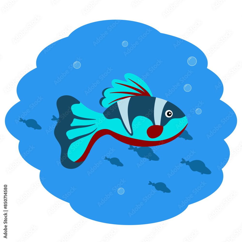 Fototapeta premium Turquoise fish