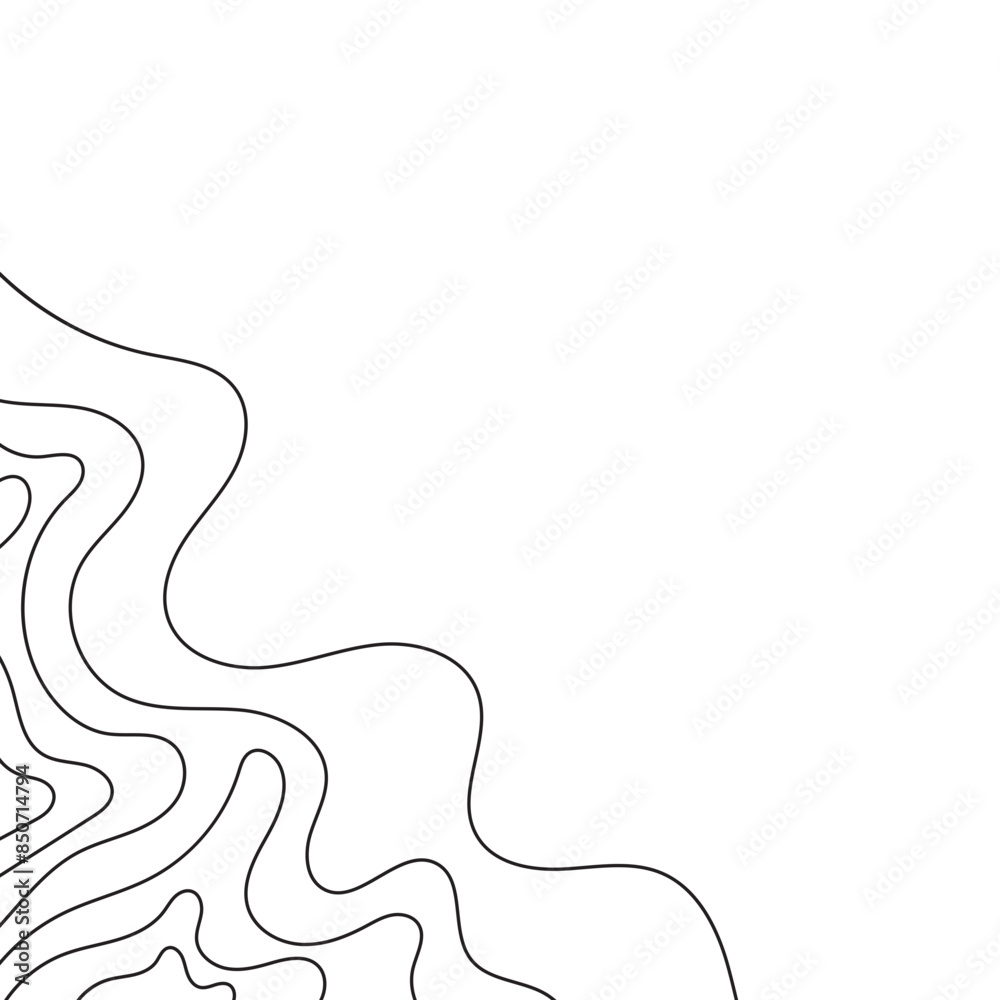 Topographic Line Corner Topographic Line Corner