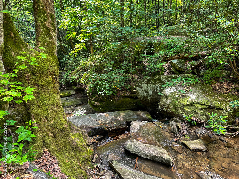Small stream over layers of rocks in a deep temperate forest Small stream over layers of rocks in a deep temperate forest