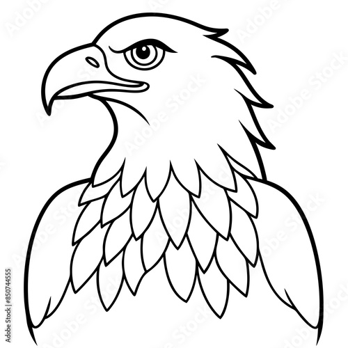 eagle bird